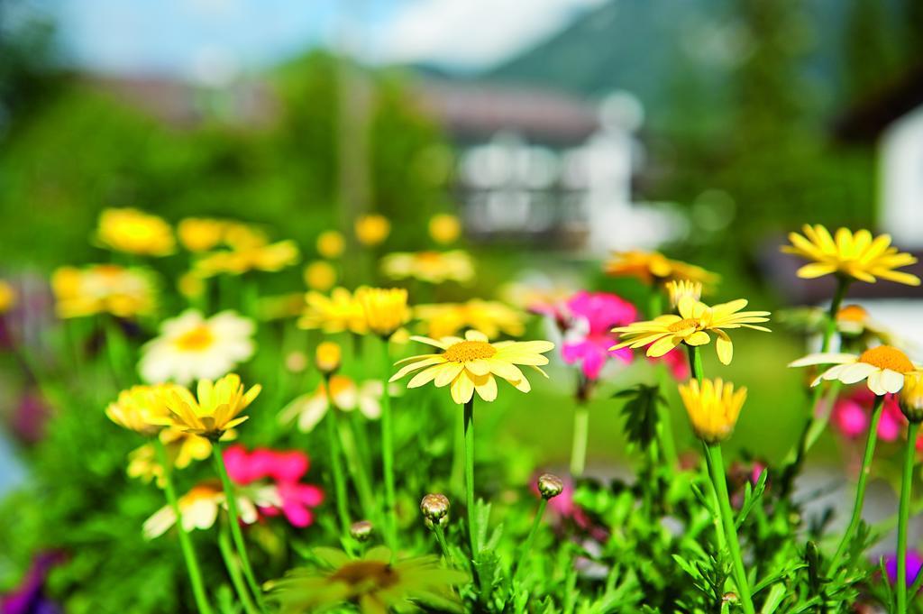 Parkhotel Wallgau 4 Sterne Superior Alpenjuwel Mit Spa Genuss, Golf & Wellness In Der Karwendel-Region Tradition Trifft Eleganz Im Stilvollen Rueckzugsort Kültér fotó